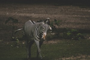 分享实测“红豆娱乐斗牛其实有透视辅助挂”(确实真有挂)-知乎