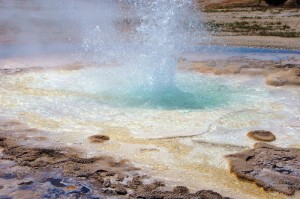 【疫情在哪年爆发的,疫情在哪年爆发的呢】