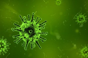 2009发生了什么病毒疫情/2009年是什么疫情?