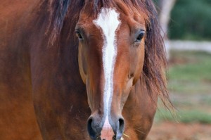 疫情最新通报 上海/疫情最新动态上海