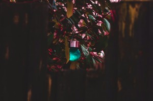 独家分享“天酷炸/金/花到底有挂吗”［其实是有挂］