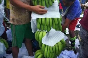 [分享]“边锋老友棋牌有挂吗”(确实真的有挂)