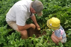 轻松掌握.“农场假日究竟有挂吗”[开挂辅助教程]