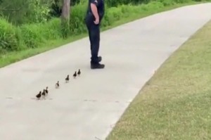 疫情什么时候能下去:疫情什么时候能下去旅游