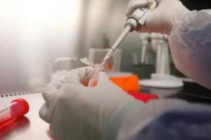 【疫情何时开放的,疫情什么时候开放】