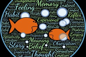 去年疫情是从什么时候开始的呢/去年疫情是从什么时候开始的呢英语