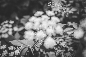 记忆的刻度，当那一年被定格为图片