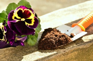 重大数据“启东牌缘开挂神器”(确实真的有挂)