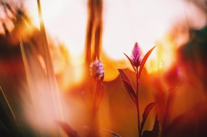 重大通报.“约战荆门麻将辅助开挂神器”(有挂辅助器通用版)