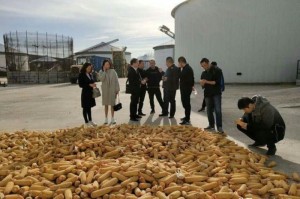 疫情是从什么时候开始的？一个没有简单答案的问题