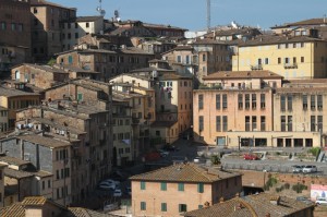 盘点一款“新道游牛牛果然有挂”揭秘开挂教程分享