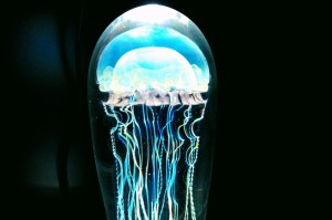 [实测]“胡乐麻将可以开挂吗”原来可以开挂