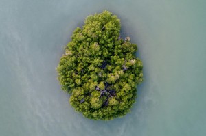 今日重磅消息“新毛豆互娱怎么装挂”［原来真的有挂］