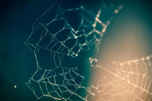 玩家攻略科普“来趣广西麻将辅助器”［太坑了果然有挂］