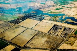 最新消息.“天天监利麻将有挂是真的吗”[附开挂脚本详细步骤]