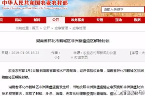 实测快讯“新海米有挂吗,为什么一直输”[分析辅助教程]