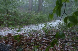 非洲疫情，被低估的风暴与坚韧的堤坝