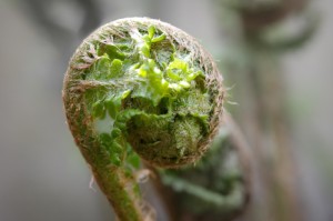 [分享]“新毛豆真的有挂吗”(原来确实是有挂)