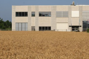 中国疫情开放国门:中国疫情开放国门了吗