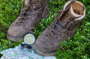 今日重大通报“新二号大厅透视软件辅助器”其实确实有挂