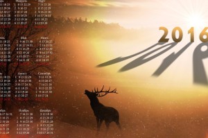 【疫情始于哪一年结束,疫情始于哪一年结束的】