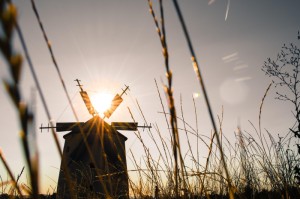 疫情之问，全球大流行始于哪一年？