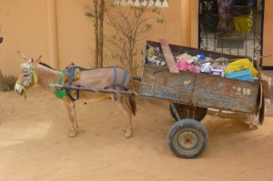 重大通报.“玄龙金花能不能开挂”[胜负概率挂件辅助插件]