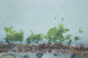 经验总结.“微乐安徽麻将是不是有挂”分享装挂步骤技巧