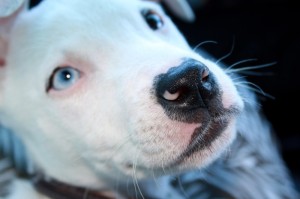 甘肃疫情情况?甘肃疫情情况通报）