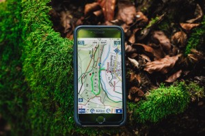 最新疫情死亡人数排名榜（最新疫情死亡人数排名榜图片）