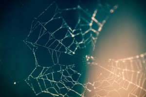 [分析]“至友互娱有没有挂”(确实真的有挂)