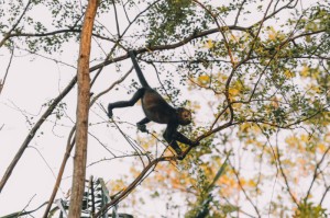 玩家必看攻略“新琉璃牛牛其实是有透视软件”(原来有挂)-知乎