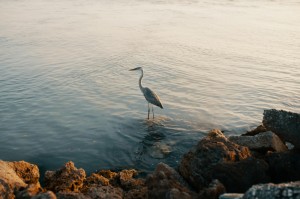 【武汉疫情是哪年爆发的,武汉疫情是哪年爆发的几月几号】