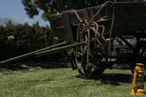 玩家必看攻略“新悠悠到底有透视挂吗”开挂详细方法