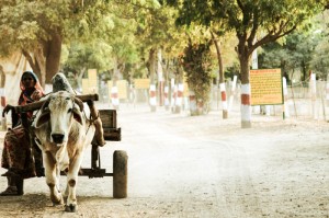 玩家必备攻略“新道游牛牛其实的确有透视挂”(真的有挂)
